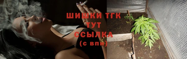 мет Каменка