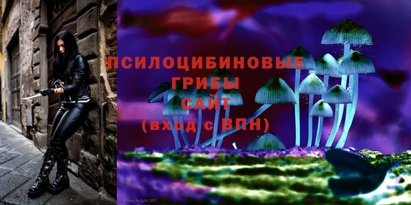 не бодяженный Каменск-Шахтинский