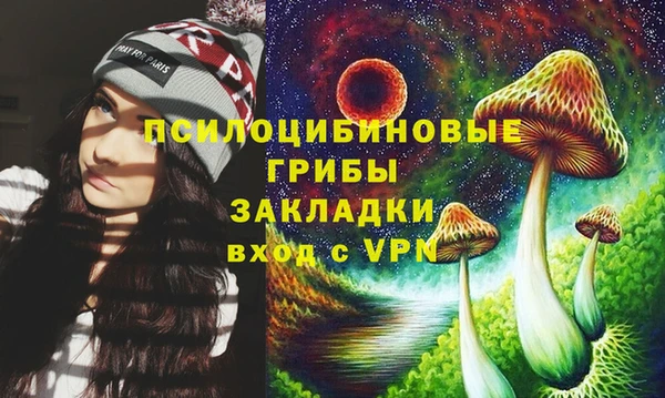 не бодяженный Каменск-Шахтинский