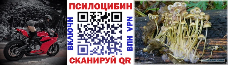 Псилоцибиновые грибы MAGIC MUSHROOMS  Купить закладки  Гудермес 